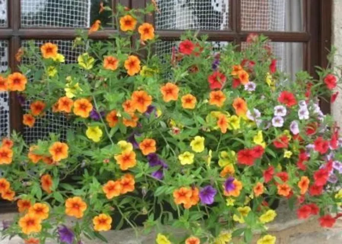 Couette-café Pérard D’hotes 4*