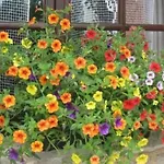 Bed & Breakfast Perard D'hotes 4*