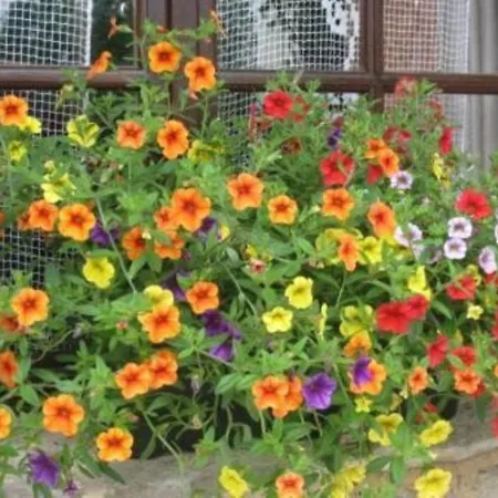 住宿加早餐酒店 Perard D'hotes 4*